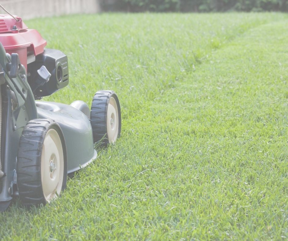 Take care of the lawns of properties for sale.
